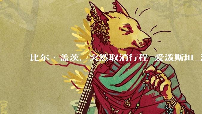 比尔·盖茨，突然取消行程_爱泼斯坦_演讲_相关